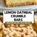 Lemon Oatmeal Crumble Bars