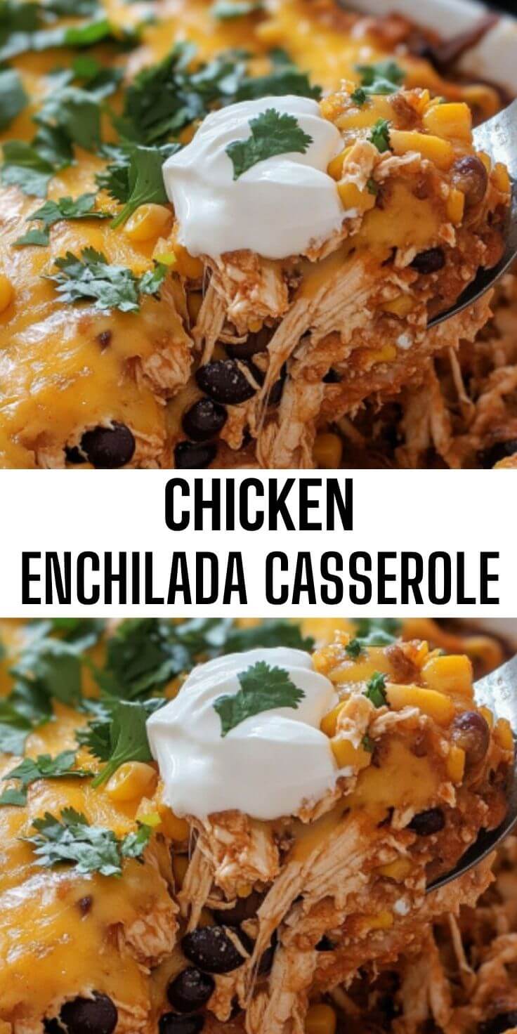 Easy Chicken Enchilada Casserole Recipe | Make Ahead Mexican Food ...