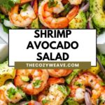 Shrimp Avocado Salad Shrimp Avocado Salad