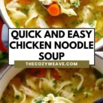 Quick and Easy Chicken Noodle Soup Quick and Easy Chicken Noodle Soup