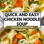 Quick and Easy Chicken Noodle Soup Quick and Easy Chicken Noodle Soup