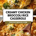 Creamy Chicken Broccoli Rice Casserole Creamy Chicken Broccoli Rice Casserole