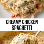 Creamy Chicken Spaghetti