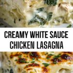 Creamy White Sauce Chicken Lasagna