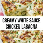 Creamy White Sauce Chicken Lasagna
