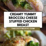 Creamy Yummy Broccoli Cheese Stuffed Chicken Breast Creamy Yummy Broccoli Cheese Stuffed Chicken Breast