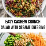 Easy Cashew Crunch Salad with Sesame Dressing