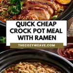 Delicious Slow Cooker Chicken Ramen Noodles, Easy Cheap Crockpot Meals Delicious Slow Cooker Chicken Ramen Noodles, Easy Cheap Crockpot Meals