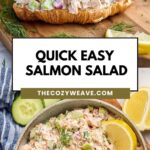 Quick Easy Salmon Salad Quick Easy Salmon Salad