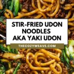 Stir-Fried Udon Noodles AKA Yaki Udon Stir-Fried Udon Noodles AKA Yaki Udon