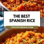 The Best Spanish Rice