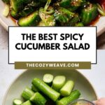 The Best Spicy Cucumber Salad