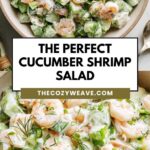 The Perfect Cucumber Shrimp Salad