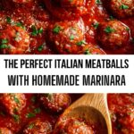 The Perfect Italian Meatballs with Homemade Marinara The Perfect Italian Meatballs with Homemade Marinara