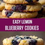 Quick Easy Lemon Blueberry Cookies